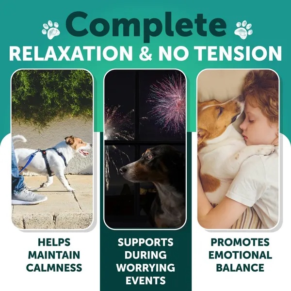 Hemp Calming Chews For Dogs Dog Anxiety Relief Treats With Hemp Oil Turmeric Valerian Ginger Health And Wellness Supplements For Dogs Hip And Joint Support 120 Treats - Image 3